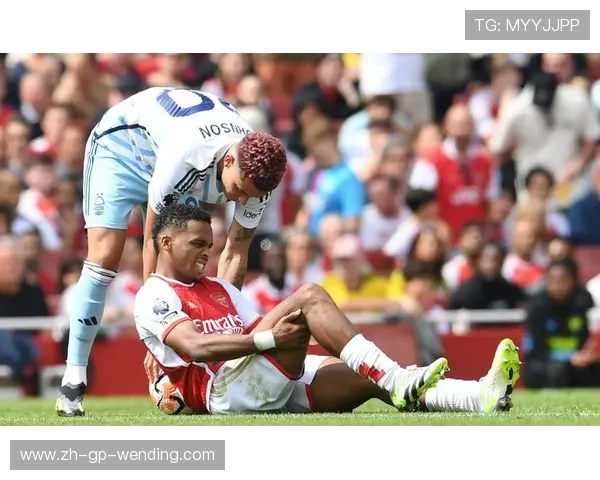 南美球员为何不适应英超高强度比赛环境?原因详解 南美球员为何不适应英超高强度比赛环境?原因详解